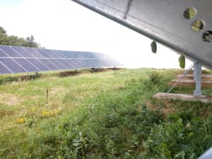 community solar energy