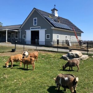 solar farm Maine